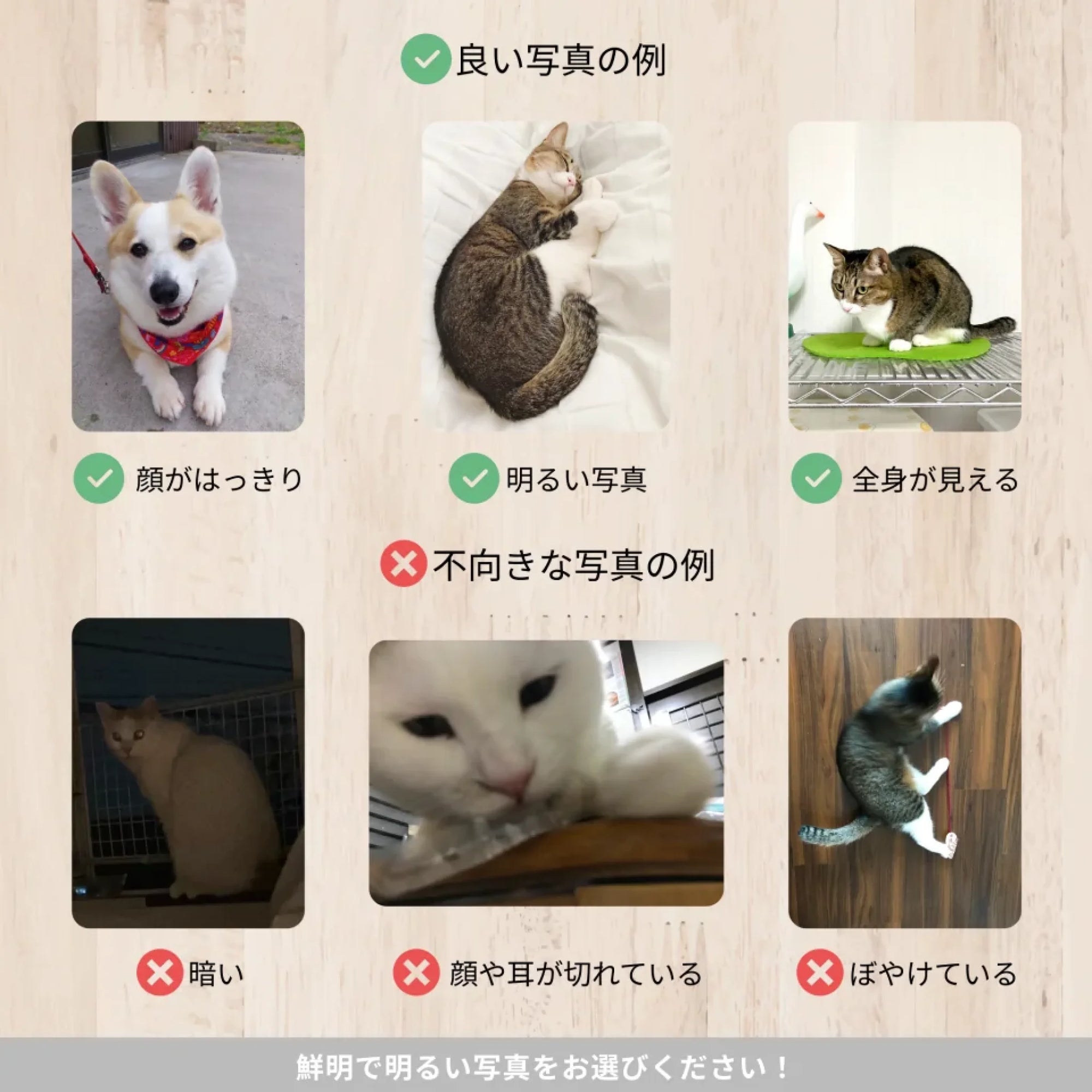 guide_2048_2